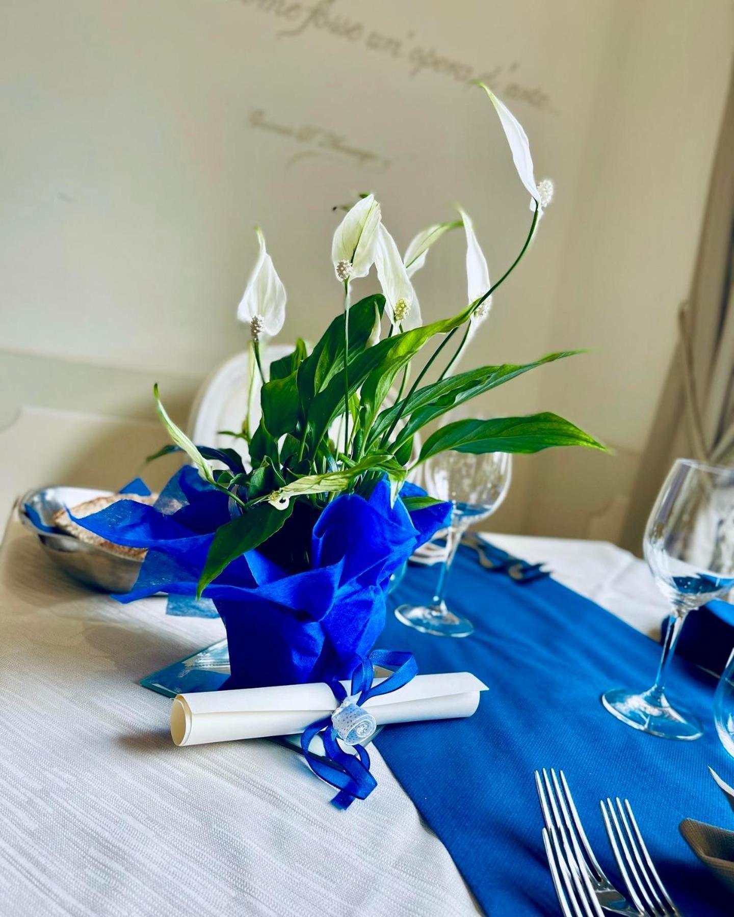 Hotel La Pigna Marina di Pietrasanta